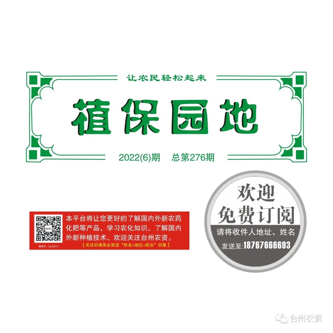 梅雨季節(jié)來臨，柑橘即將穩(wěn)果，注意管理好夏梢，合理施肥打藥